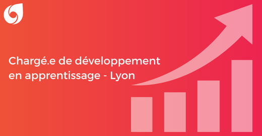 Chargé.e de développement en apprentissage - Lyon